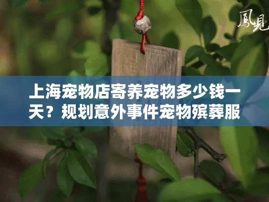 上海宠物店寄养宠物多少钱一天？规划意外事件宠物殡葬服务费用详情