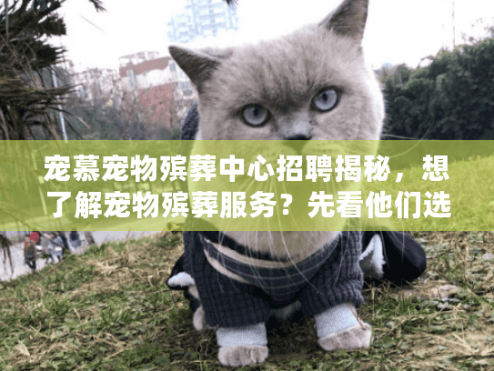 宠慕宠物殡葬中心招聘揭秘，想了解宠物殡葬服务？先看他们选人的3个隐藏标准