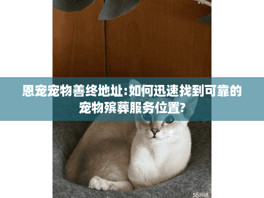 恩宠宠物善终地址:如何迅速找到可靠的宠物殡葬服务位置?