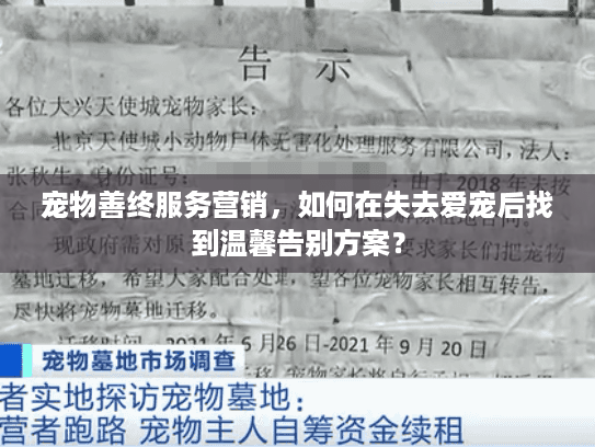 宠物善终服务营销，如何在失去爱宠后找到温馨告别方案？