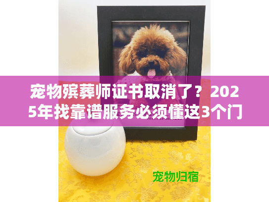 宠物殡葬师证书取消了？2025年找靠谱服务必须懂这3个门道