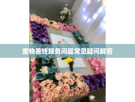 宠物善终服务问题常见疑问解答