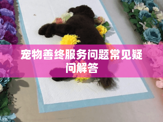 宠物善终服务问题常见疑问解答