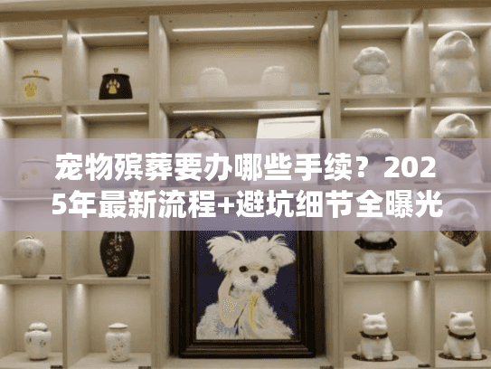 宠物殡葬要办哪些手续？2025年最新流程+避坑细节全曝光