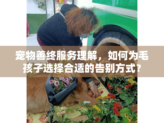 宠物善终服务理解，如何为毛孩子选择合适的告别方式？