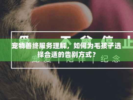 宠物善终服务理解，如何为毛孩子选择合适的告别方式？
