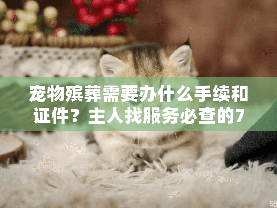 宠物殡葬需要办什么手续和证件？主人找服务必查的7个合法门槛