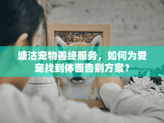 塘沽宠物善终服务，如何为爱宠找到体面告别方案？