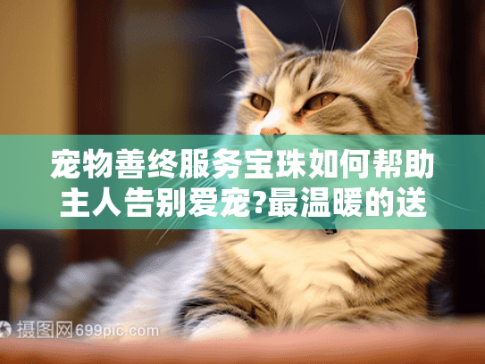 宠物善终服务宝珠如何帮助主人告别爱宠?最温暖的送别指南