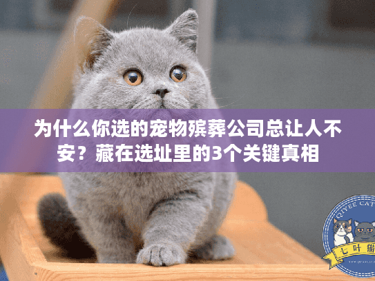 为什么你选的宠物殡葬公司总让人不安?藏在选址里的3个关键真相 为什么你选的宠物殡葬公司总让人不安?藏在选址里的3个关键真相