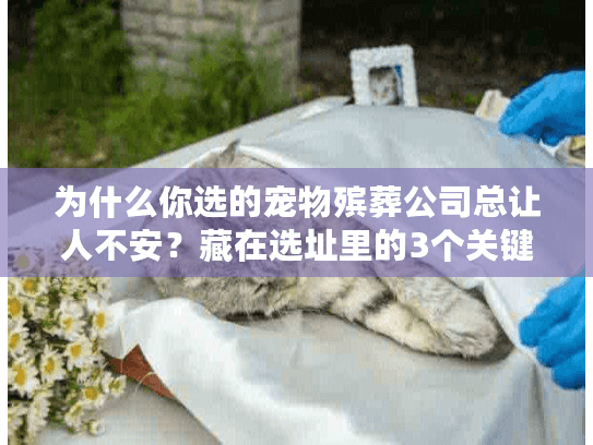 为什么你选的宠物殡葬公司总让人不安?藏在选址里的3个关键真相 为什么你选的宠物殡葬公司总让人不安?藏在选址里的3个关键真相
