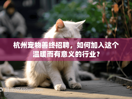 杭州宠物善终招聘，如何加入这个温暖而有意义的行业？