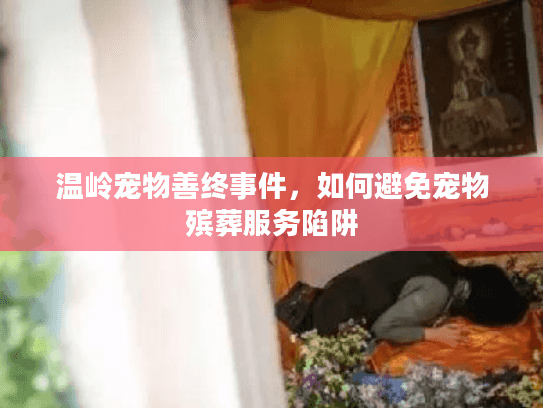 温岭宠物善终事件，如何避免宠物殡葬服务陷阱