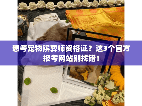 想考宠物殡葬师资格证?这3个官方报考网站别找错! 想考宠物殡葬师资格证?这3个官方报考网站别找错!