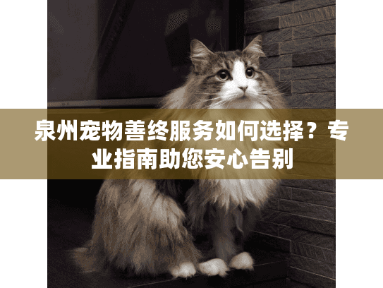 泉州宠物善终服务如何选择？专业指南助您安心告别
