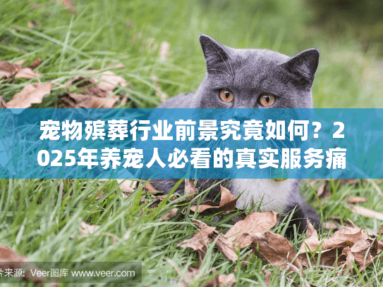 宠物殡葬行业前景究竟如何？2025年养宠人必看的真实服务痛点与趋势预判