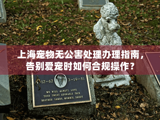 上海宠物无公害处理办理指南，告别爱宠时如何合规操作？