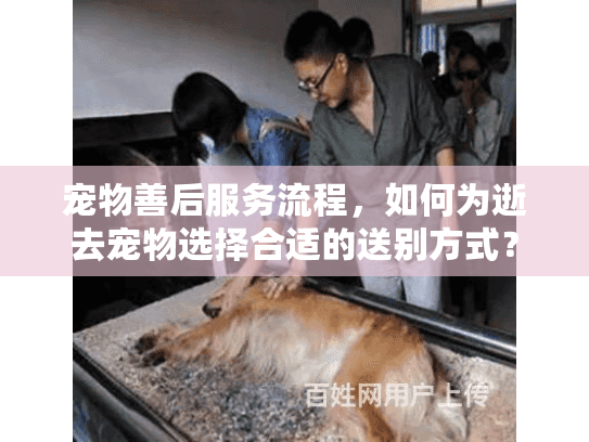 宠物善后服务流程，如何为逝去宠物选择合适的送别方式？