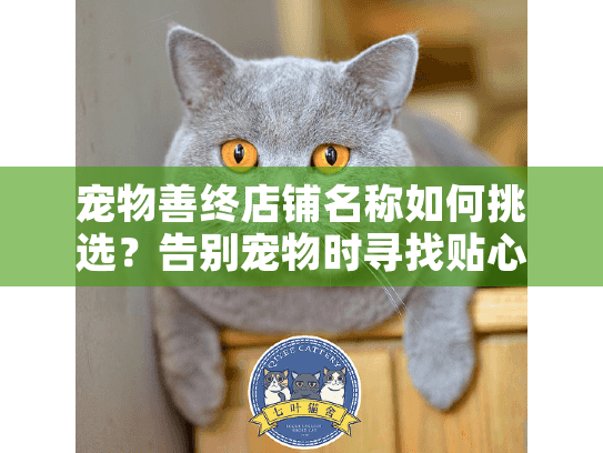 宠物善终店铺名称如何挑选？告别宠物时寻找贴心殡葬服务指南