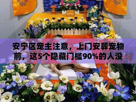 安宁区宠主注意，上门安葬宠物前，这5个隐藏门槛90%的人没搞懂？