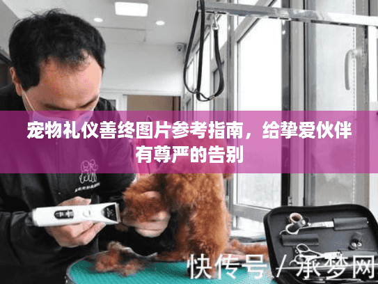 宠物礼仪善终图片参考指南，给挚爱伙伴有尊严的告别