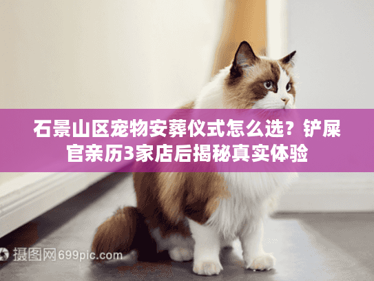 石景山区宠物安葬仪式怎么选？铲屎官亲历3家店后揭秘真实体验