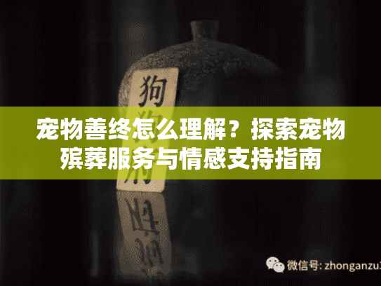 宠物善终怎么理解？探索宠物殡葬服务与情感支持指南