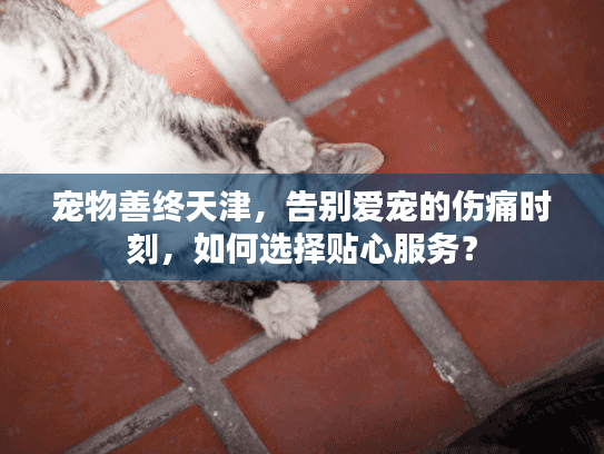 宠物善终天津，告别爱宠的伤痛时刻，如何选择贴心服务？