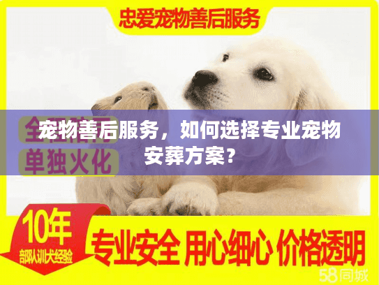 宠物善后服务，如何选择专业宠物安葬方案？