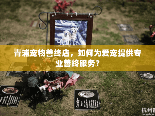 青浦宠物善终店，如何为爱宠提供专业善终服务？