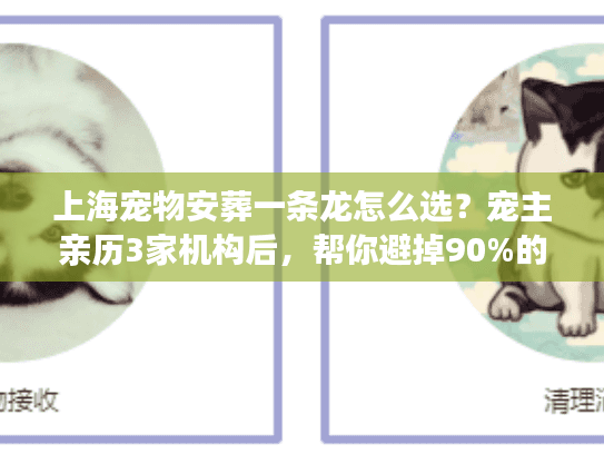 上海宠物安葬一条龙怎么选？宠主亲历3家机构后，帮你避掉90%的坑