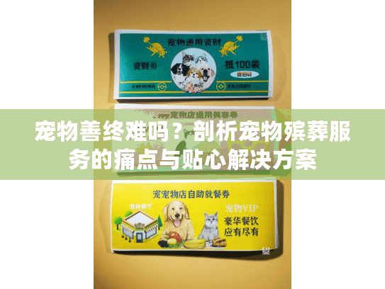 宠物善终难吗？剖析宠物殡葬服务的痛点与贴心解决方案