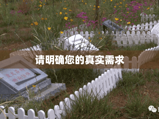 请明确您的真实需求