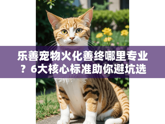 乐善宠物火化善终哪里专业？6大核心标准助你避坑选择