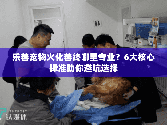 乐善宠物火化善终哪里专业？6大核心标准助你避坑选择
