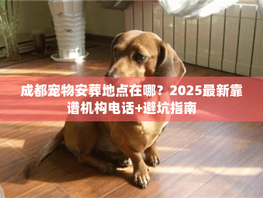 成都宠物安葬地点在哪?2025最新靠谱机构电话+避坑指南 成都宠物安葬地点在哪?2025最新靠谱机构电话+避坑指南