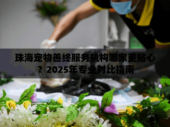 珠海宠物善终服务机构哪家更贴心？2025年专业对比指南