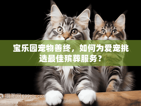 宝乐园宠物善终，如何为爱宠挑选最佳殡葬服务？