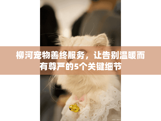 柳河宠物善终服务，让告别温暖而有尊严的5个关键细节