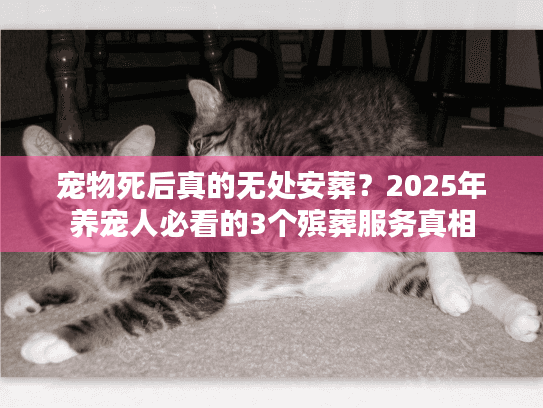 宠物死后真的无处安葬？2025年养宠人必看的3个殡葬服务真相