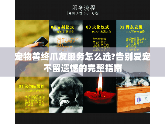 宠物善终爪友服务怎么选?告别爱宠不留遗憾的完整指南