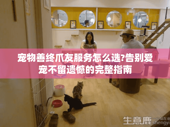 宠物善终爪友服务怎么选?告别爱宠不留遗憾的完整指南