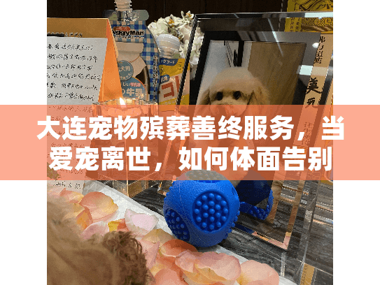 大连宠物殡葬善终服务，当爱宠离世，如何体面告别？