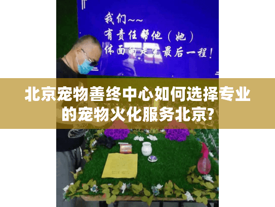 北京宠物善终中心如何选择专业的宠物火化服务北京?