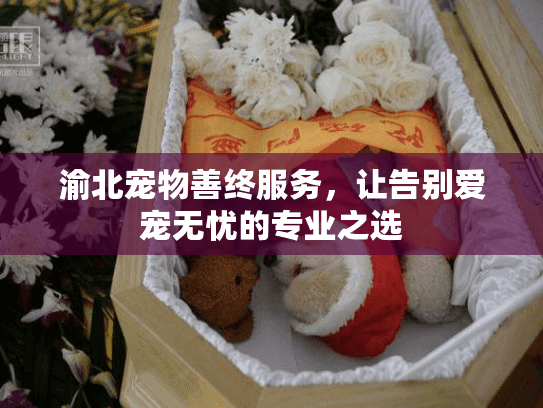 渝北宠物善终服务，让告别爱宠无忧的专业之选