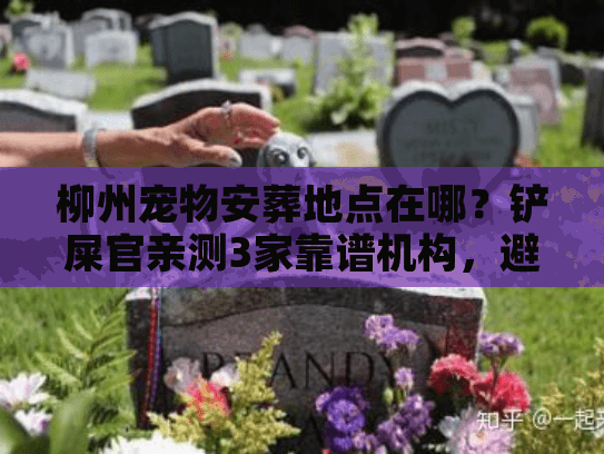 柳州宠物安葬地点在哪？铲屎官亲测3家靠谱机构，避坑指南藏在这里