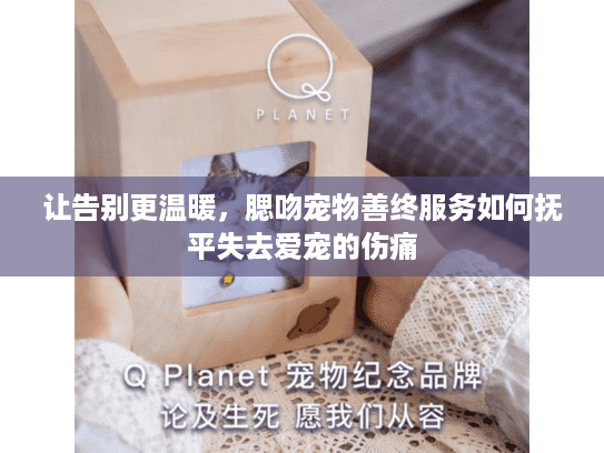 让告别更温暖，腮吻宠物善终服务如何抚平失去爱宠的伤痛