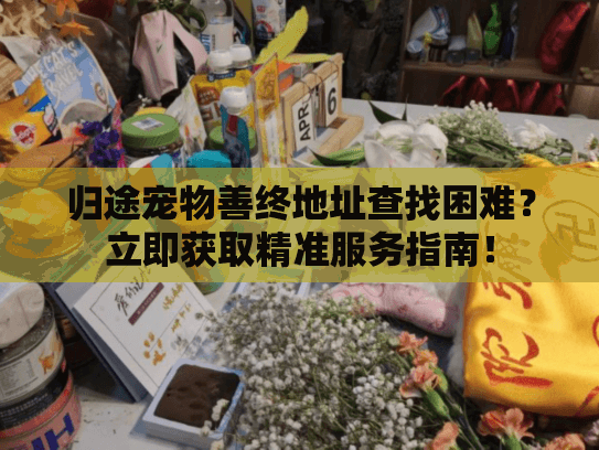 归途宠物善终地址查找困难？立即获取精准服务指南！