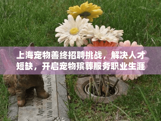 上海宠物善终招聘挑战，解决人才短缺，开启宠物殡葬服务职业生涯！