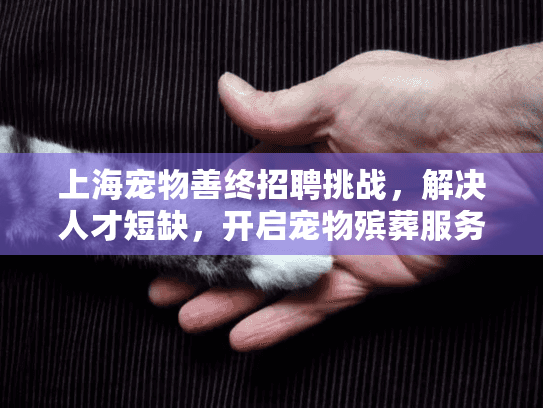 上海宠物善终招聘挑战，解决人才短缺，开启宠物殡葬服务职业生涯！